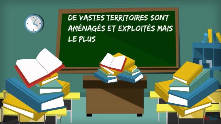 Conséquences de la colonisation française : impacts et héritages