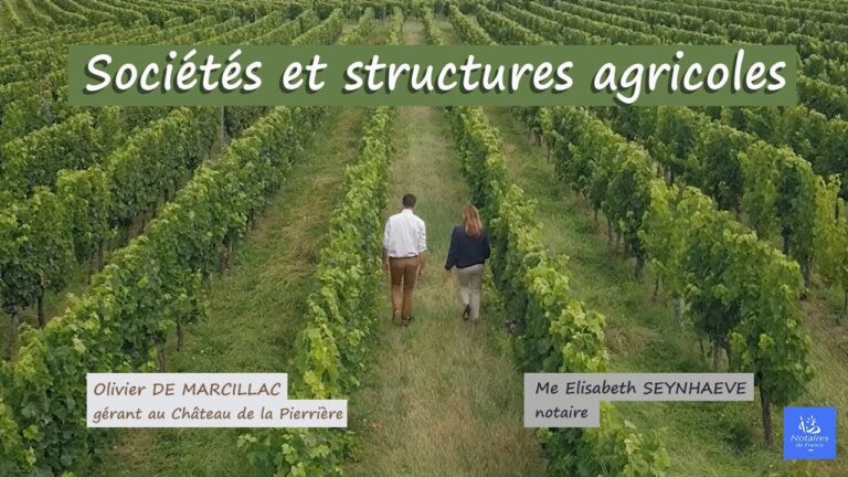 Optimisation de l’organisation sociale des terres agricoles