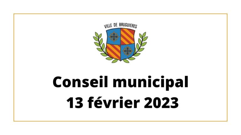 La Fronde : Analyse de la Crise Politique