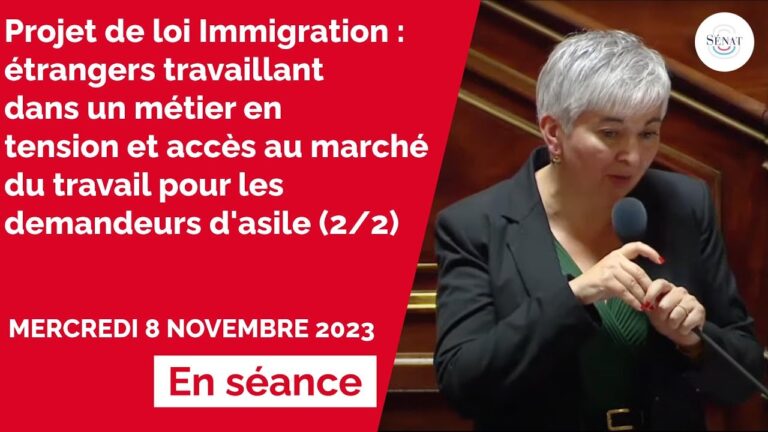 Intégration des Travailleurs Étrangers : Défis et Solutions dans le Marché du Travail