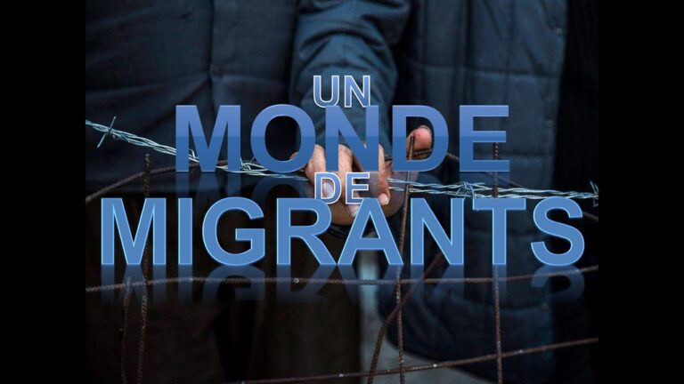 Perspectives sur la Mobilit&eacute; Transnationale dans les Migrations Internationales